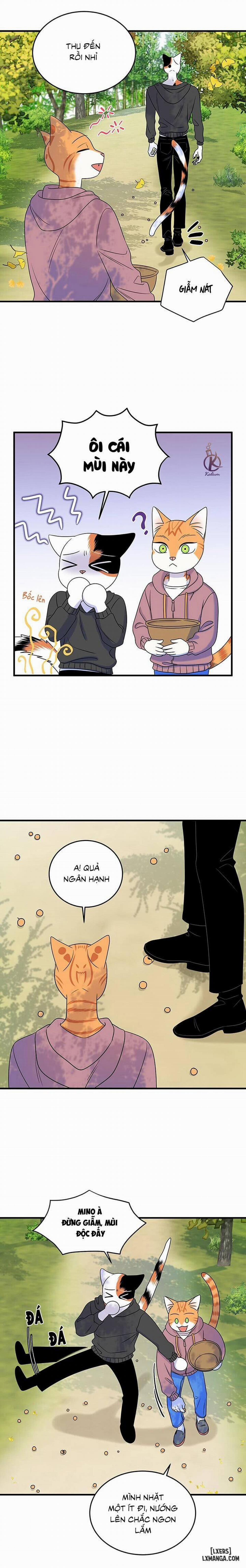 Dự án xanh 46 trang 7