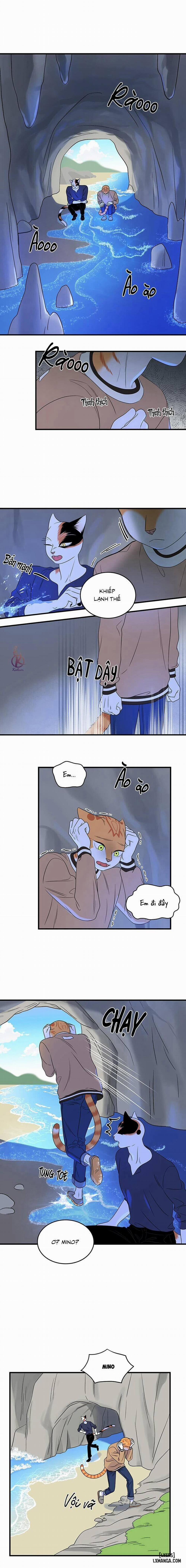 Dự án xanh 47 trang 9