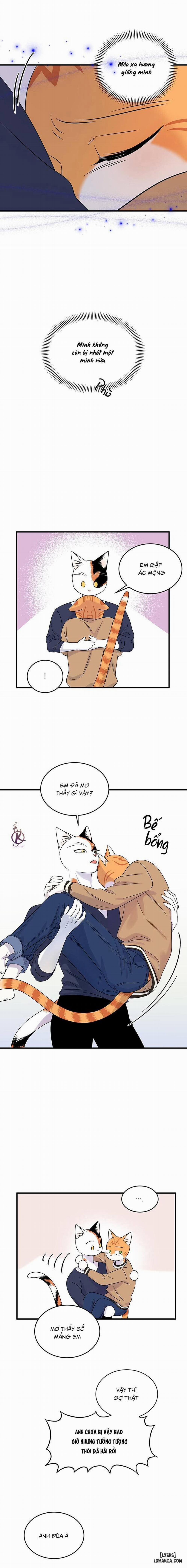 Dự án xanh 48 trang 13