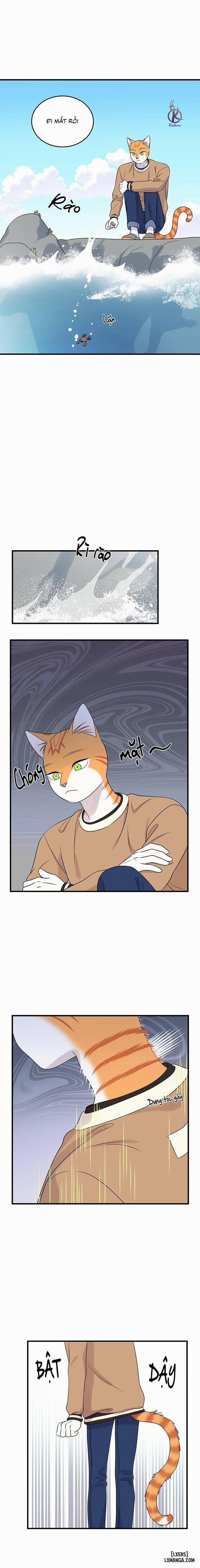 Dự án xanh 48 trang 2