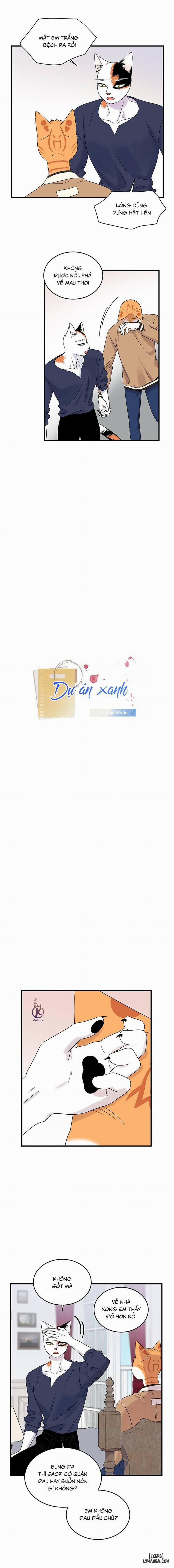 Dự án xanh 48 trang 4