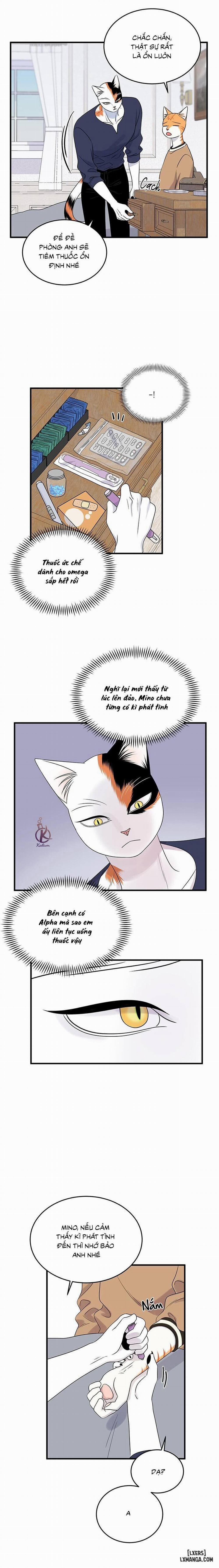 Dự án xanh 48 trang 5