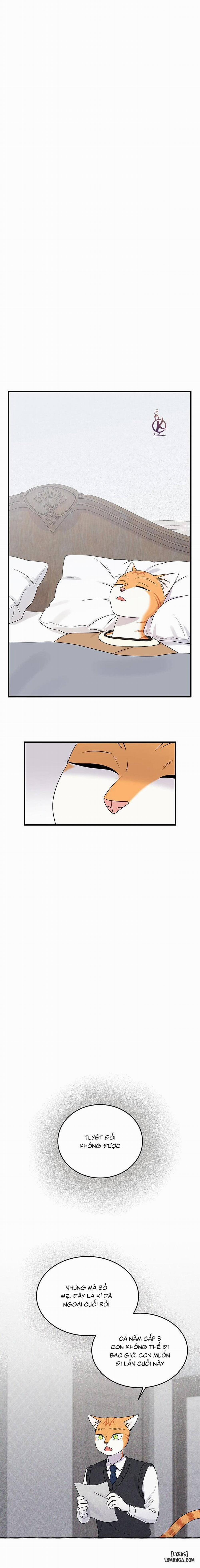 Dự án xanh 48 trang 8