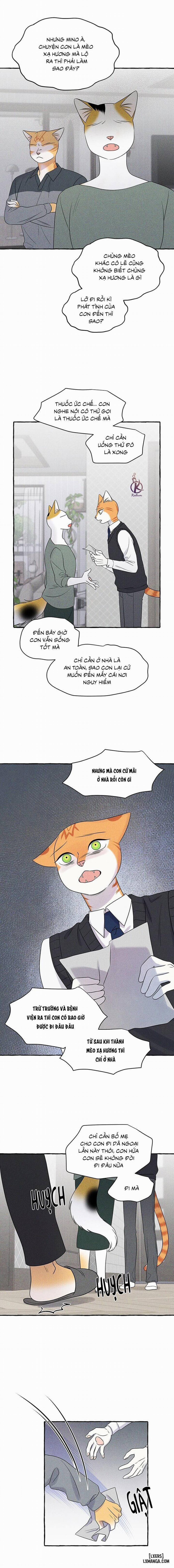 Dự án xanh 48 trang 9