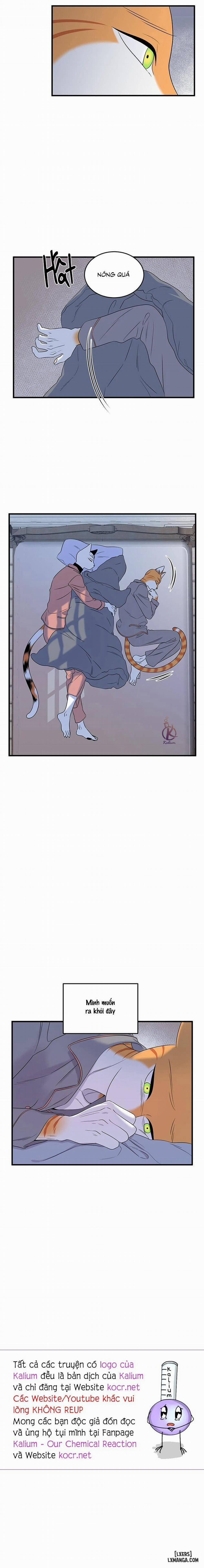 Dự án xanh 49 trang 13