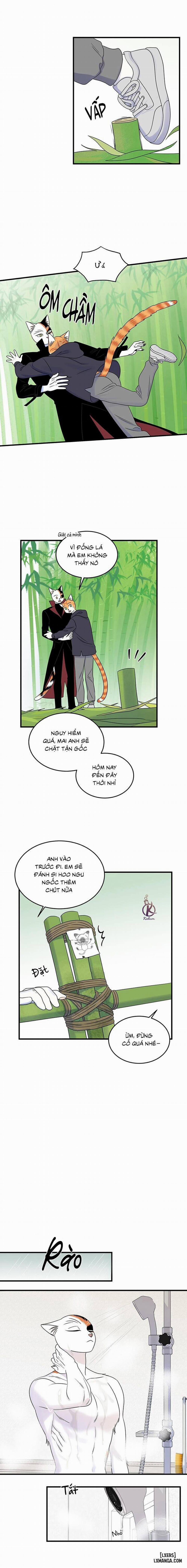 Dự án xanh 49 trang 3