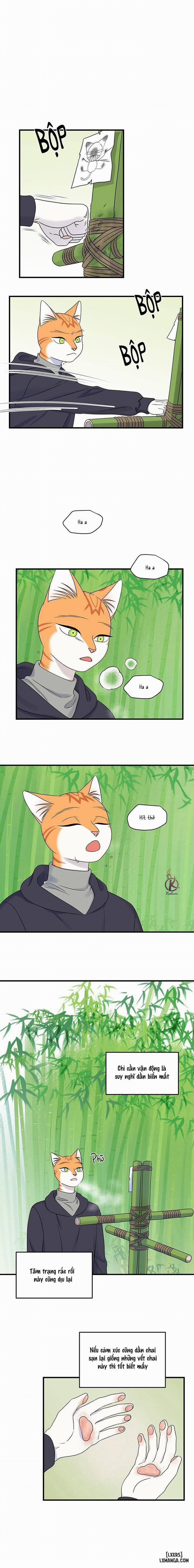 Dự án xanh 49 trang 5