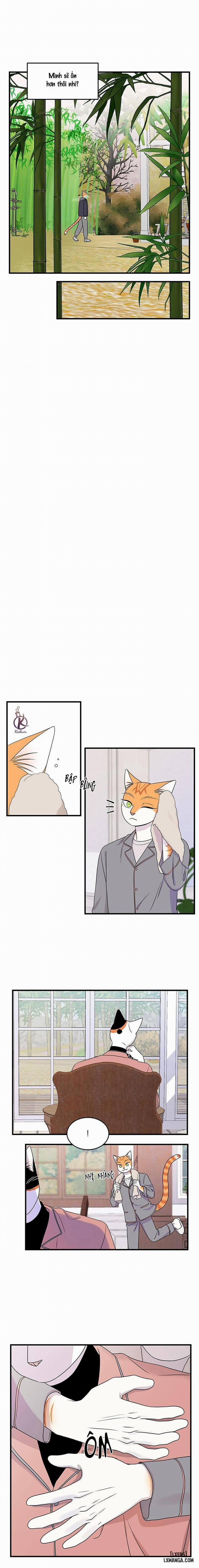 Dự án xanh 49 trang 6