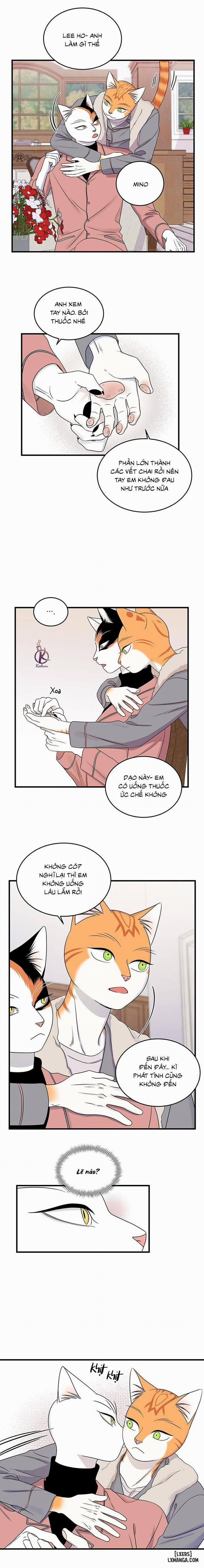 Dự án xanh 49 trang 7