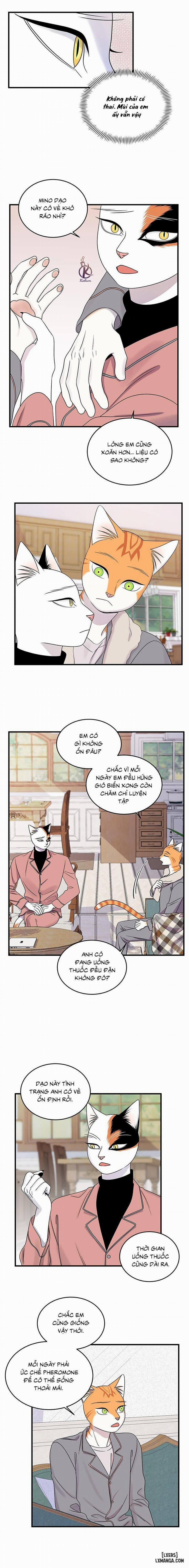 Dự án xanh 49 trang 8