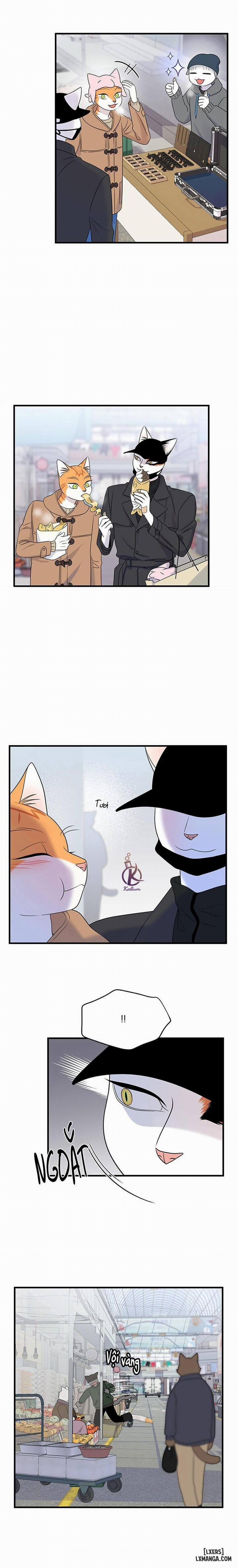 Dự án xanh 50 trang 11