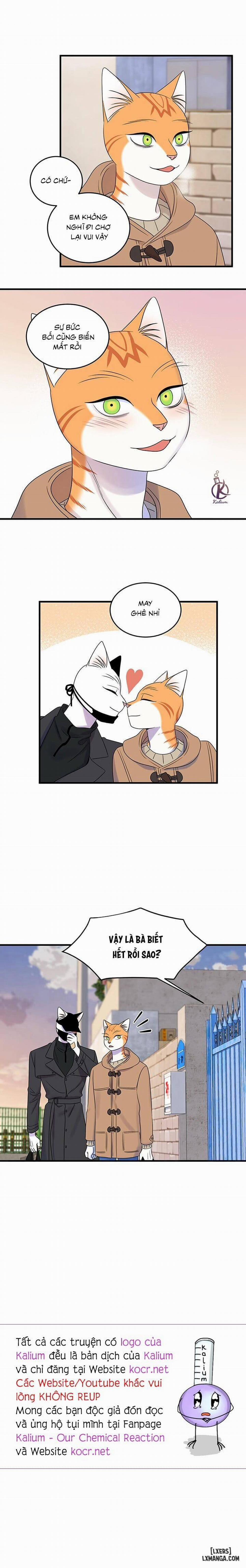 Dự án xanh 50 trang 13