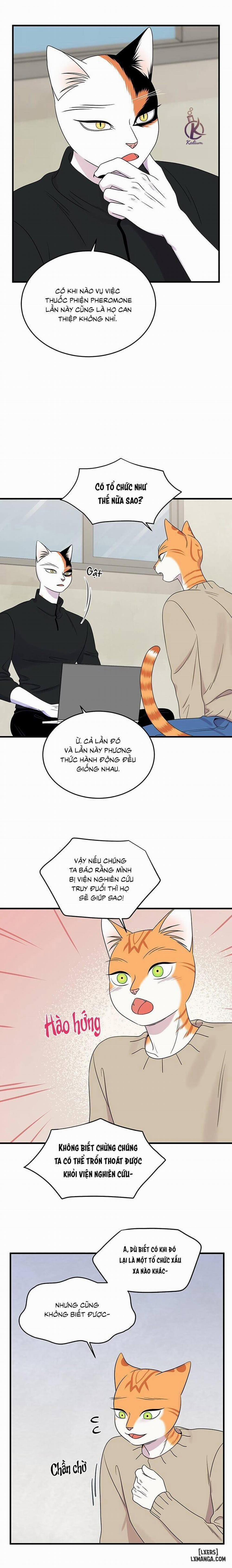 Dự án xanh 51 trang 7