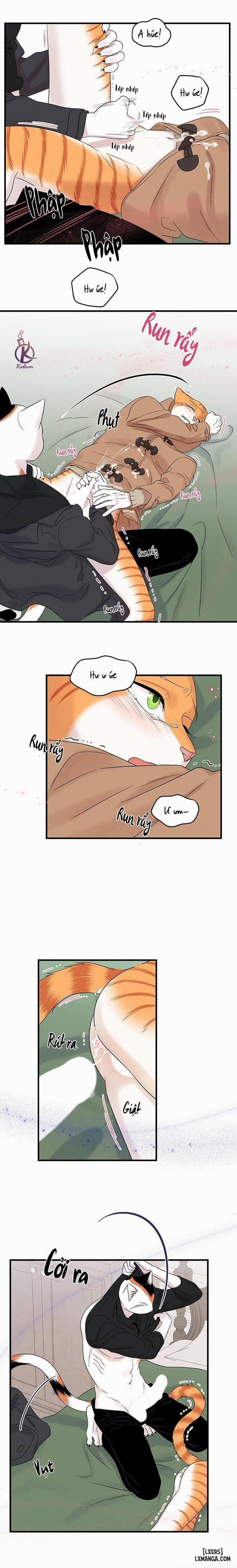 Dự án xanh 52 trang 10