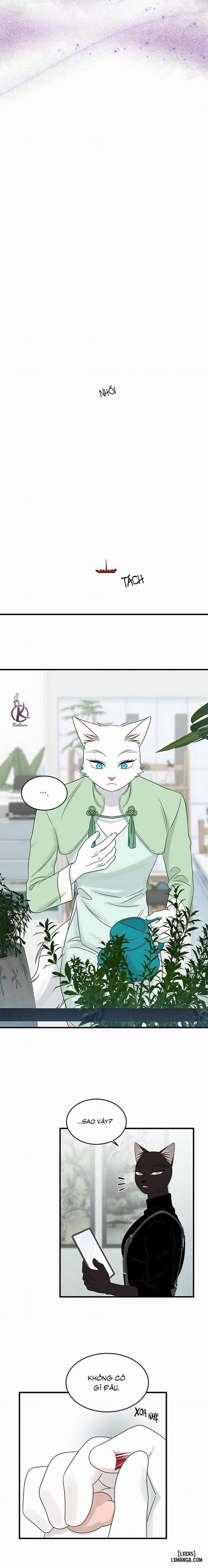 Dự án xanh 53 trang 10