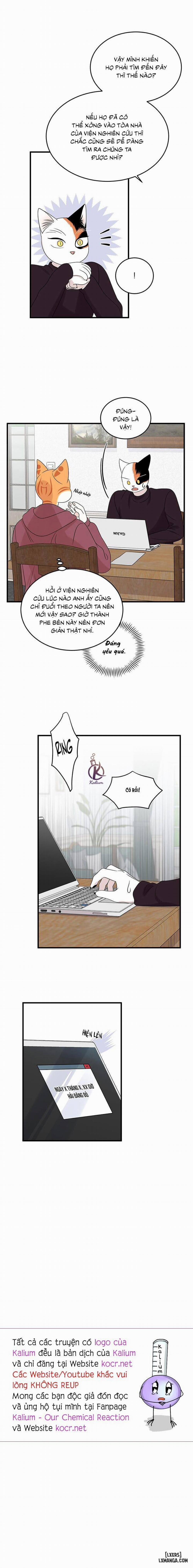 Dự án xanh 53 trang 15