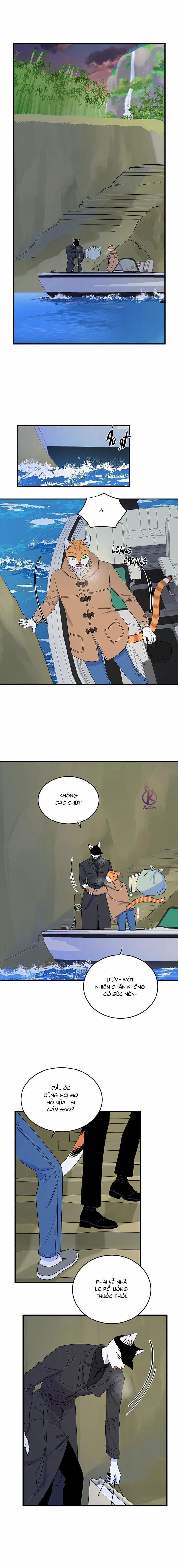 Dự án xanh 54 trang 11