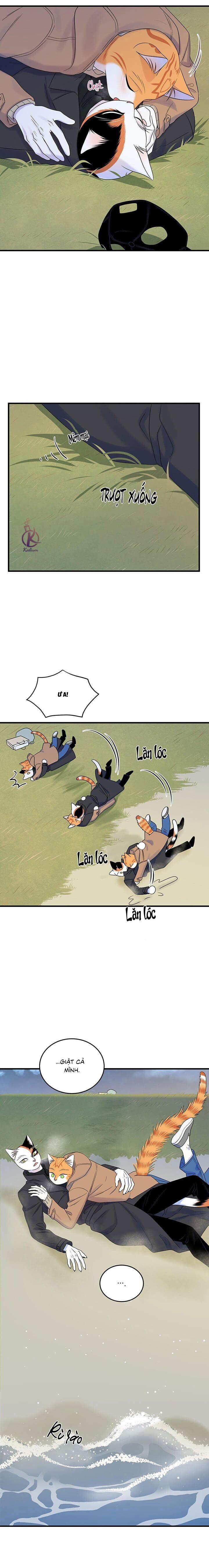 Dự án xanh 54 trang 15