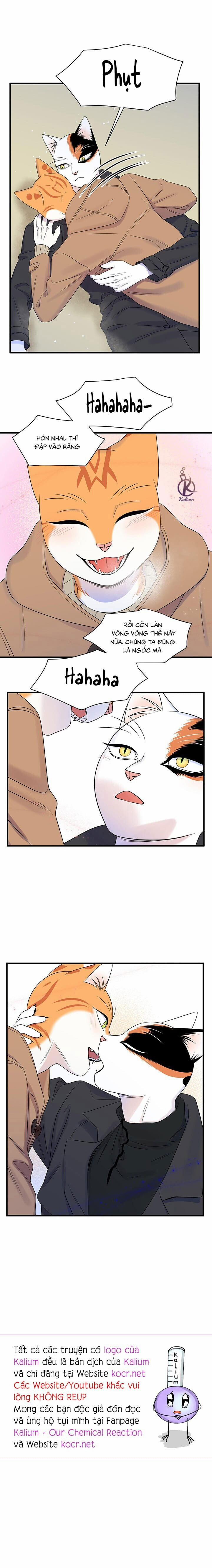 Dự án xanh 54 trang 16