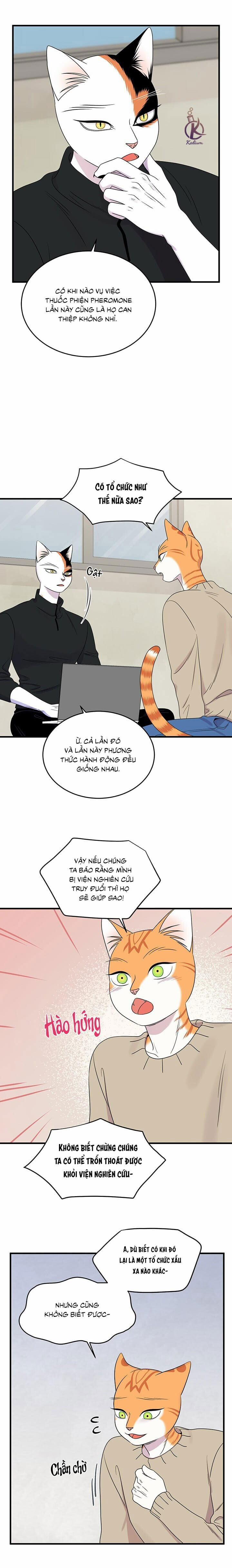 Dự án xanh 54 trang 7