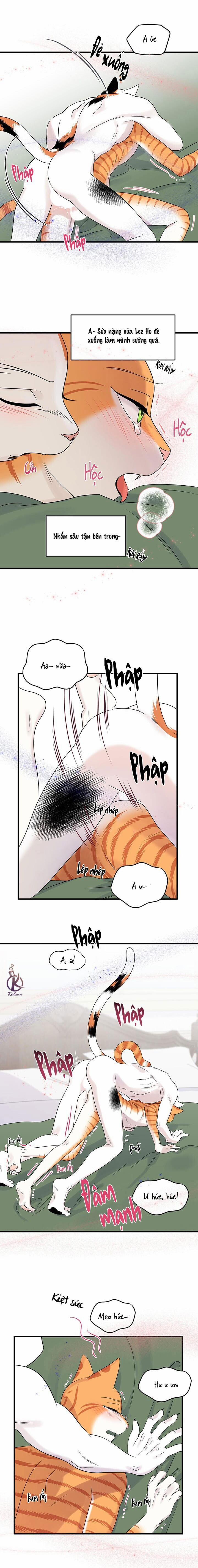 Dự án xanh 55 trang 12