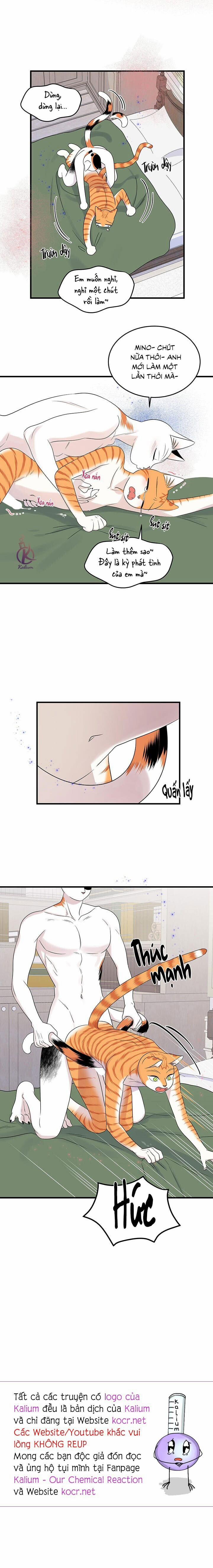 Dự án xanh 55 trang 13