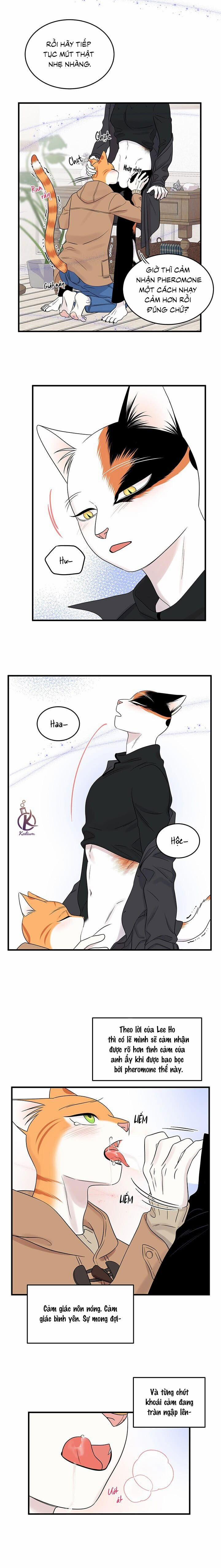 Dự án xanh 55 trang 5