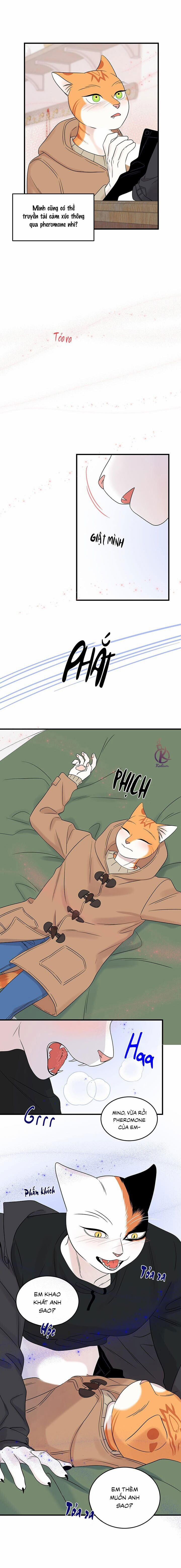 Dự án xanh 55 trang 6