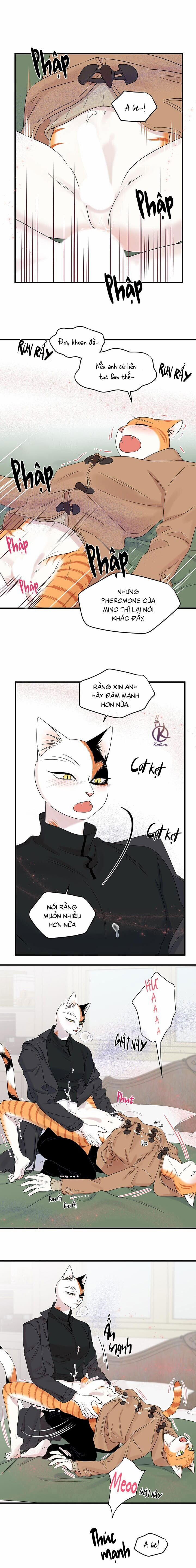 Dự án xanh 55 trang 9