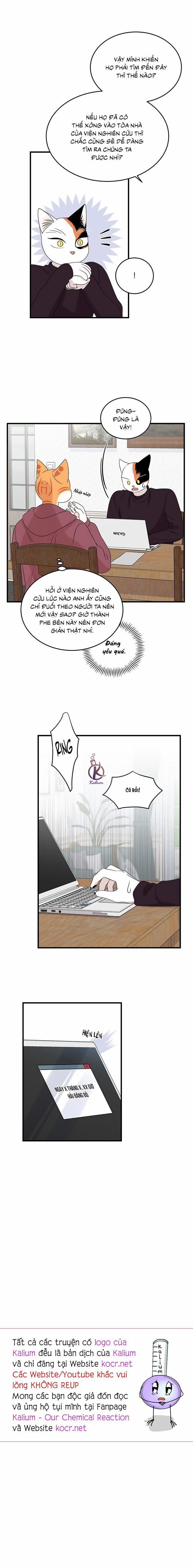 Dự án xanh 56 trang 15