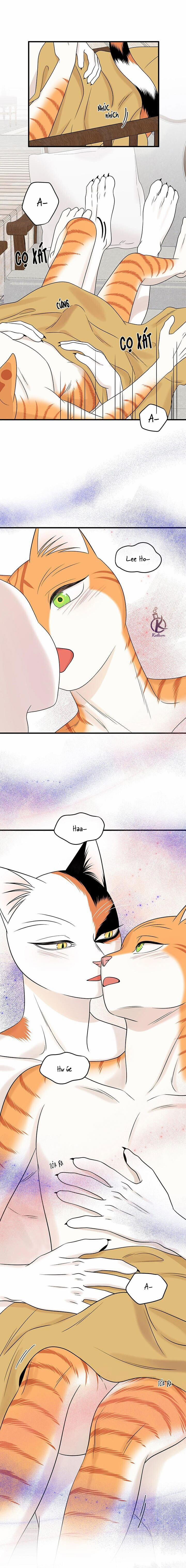 Dự án xanh 56 trang 8