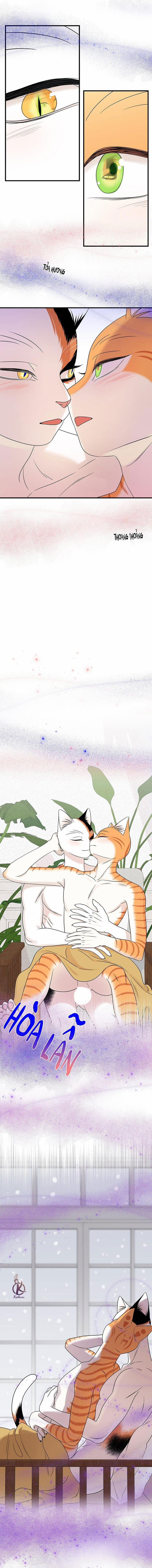 Dự án xanh 56 trang 9