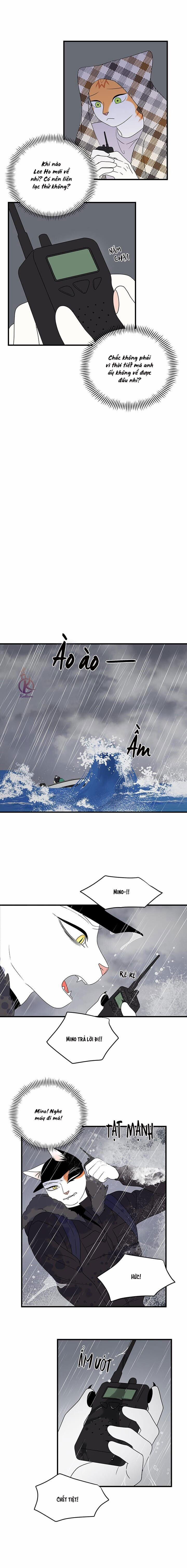 Dự án xanh 57 trang 11