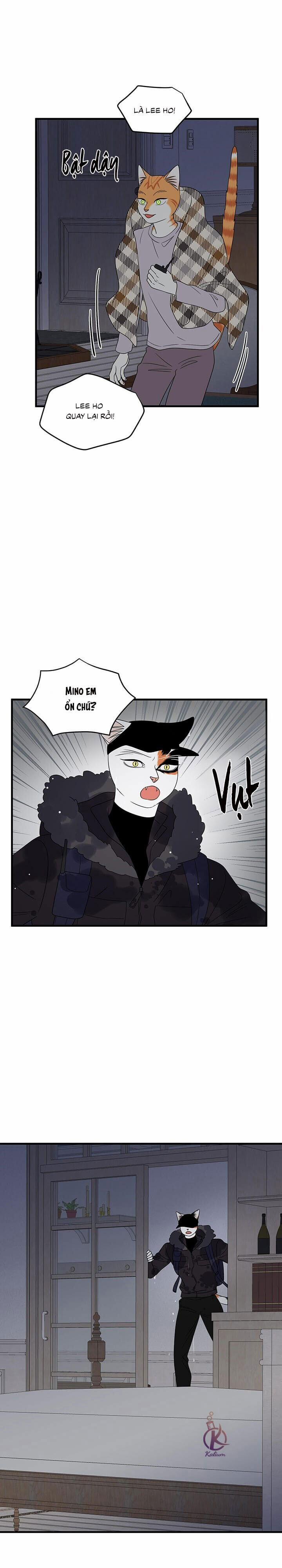 Dự án xanh 57 trang 13