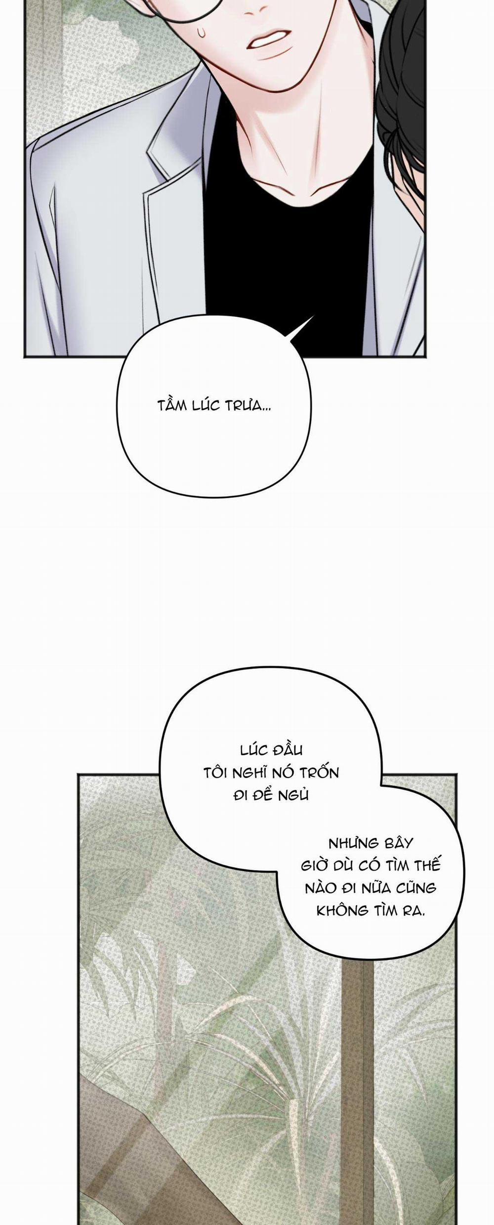 Dự Báo Mưa Rào 1 trang 13