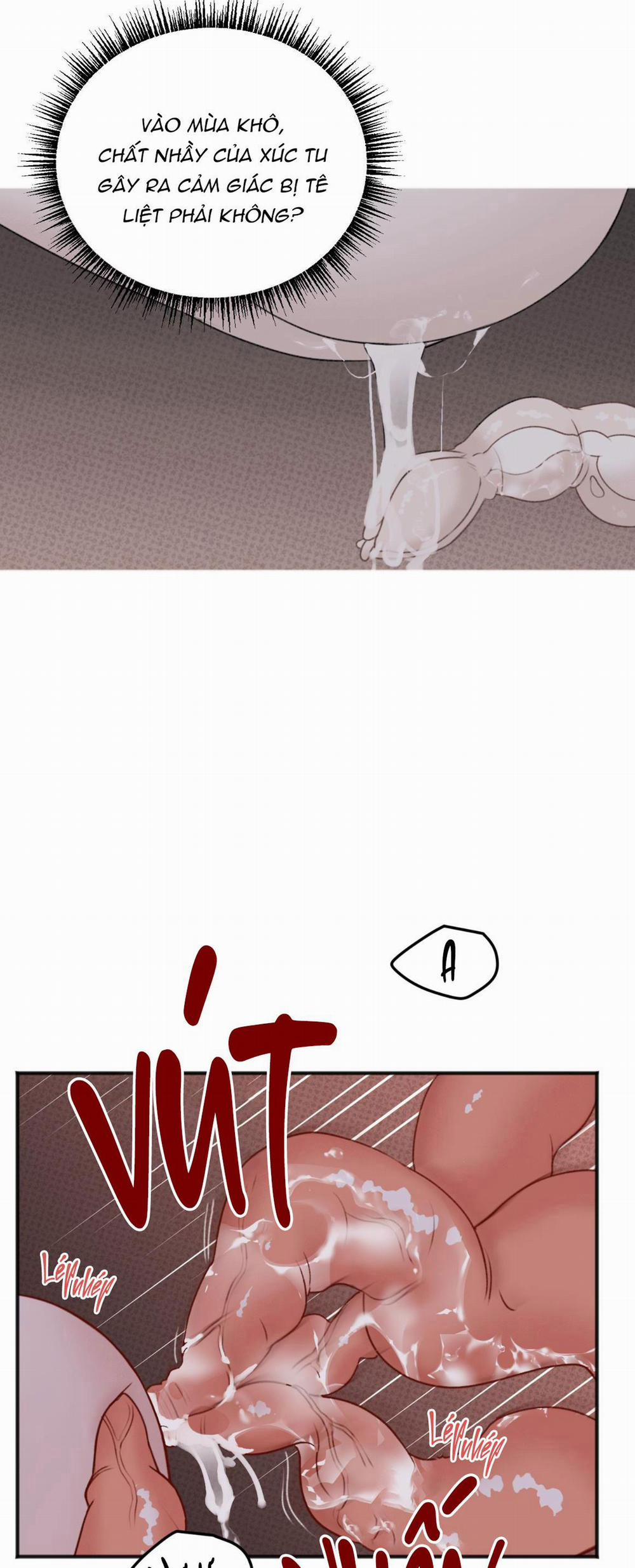 Dự Báo Mưa Rào 2 trang 5