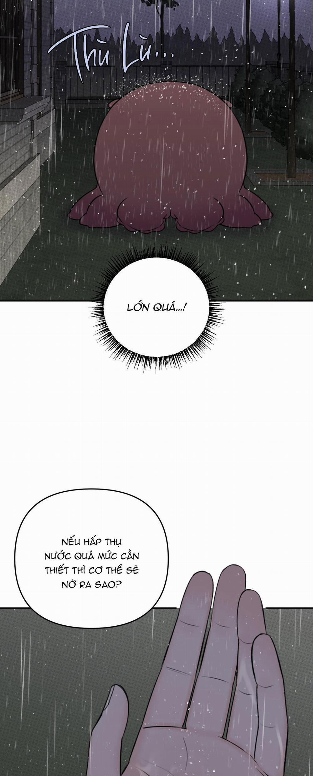 Dự Báo Mưa Rào 5 trang 36