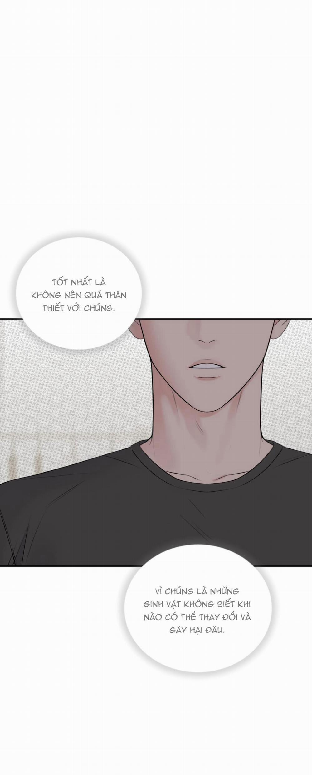 Dự Báo Mưa Rào 5 trang 49