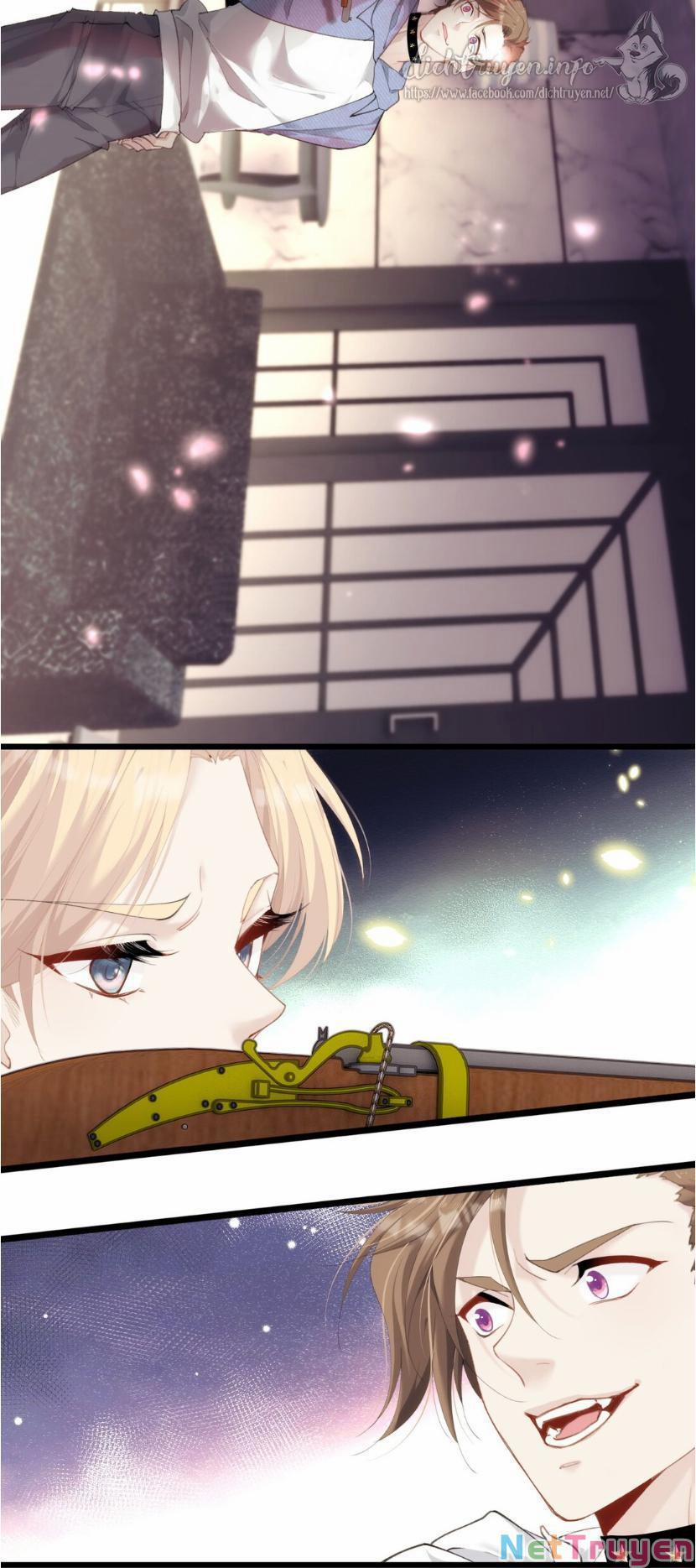 Dù Là Sói Cô Độc Cũng Có Tình Yêu Của Sẻ Nhỏ 20 trang 12