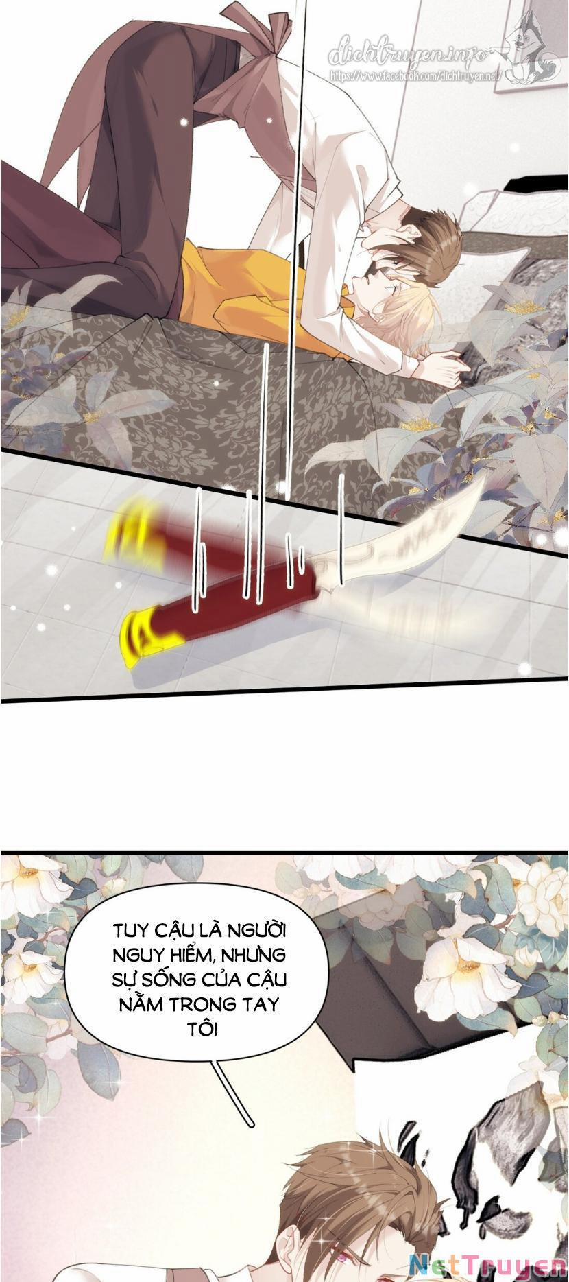 Dù Là Sói Cô Độc Cũng Có Tình Yêu Của Sẻ Nhỏ 20 trang 18