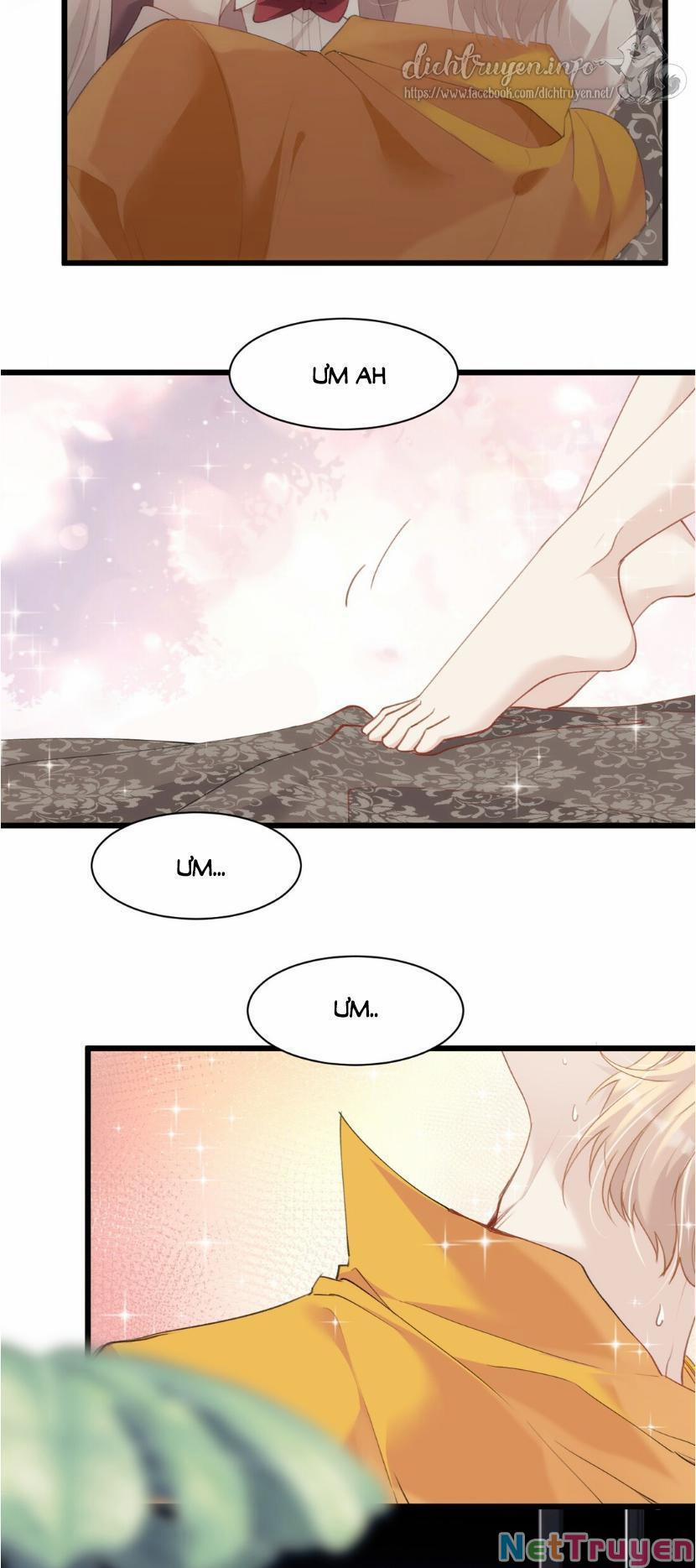 Dù Là Sói Cô Độc Cũng Có Tình Yêu Của Sẻ Nhỏ 20 trang 20