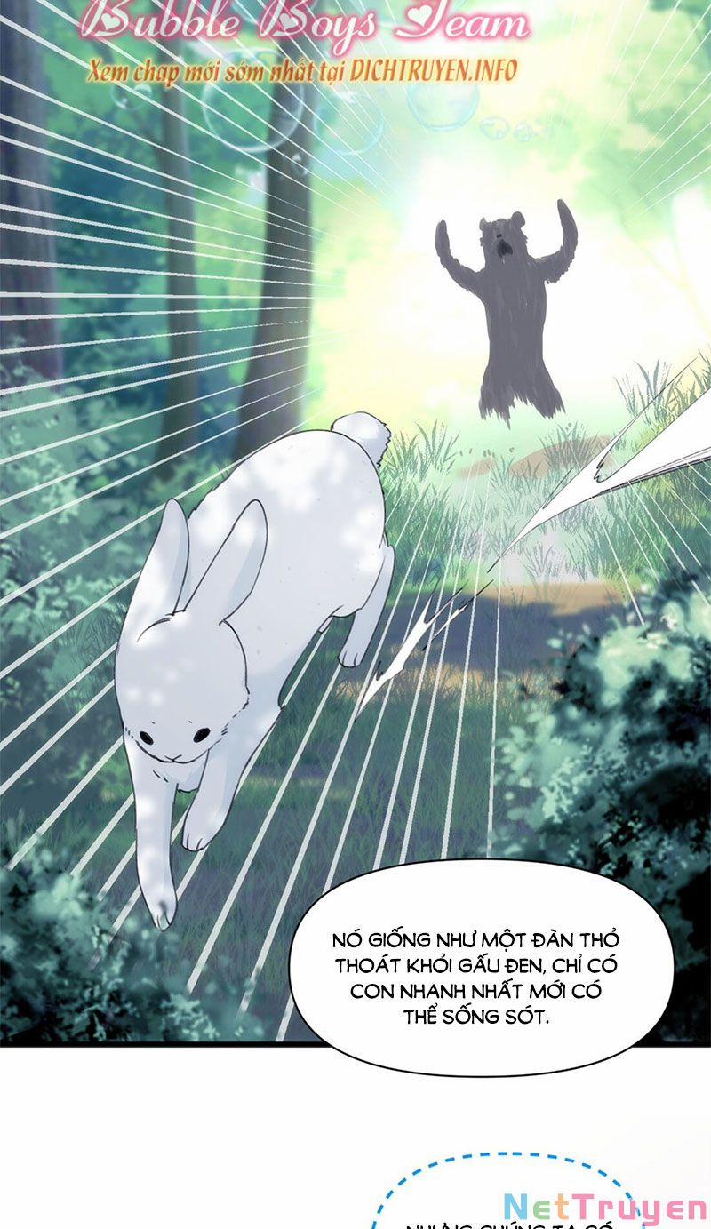 Dù Là Sói Cô Độc Cũng Có Tình Yêu Của Sẻ Nhỏ 35 trang 10