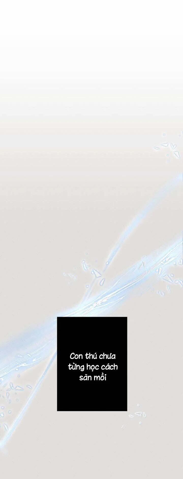 Dù Vậy, Cậu Vẫn Thích Sao? 1 trang 24