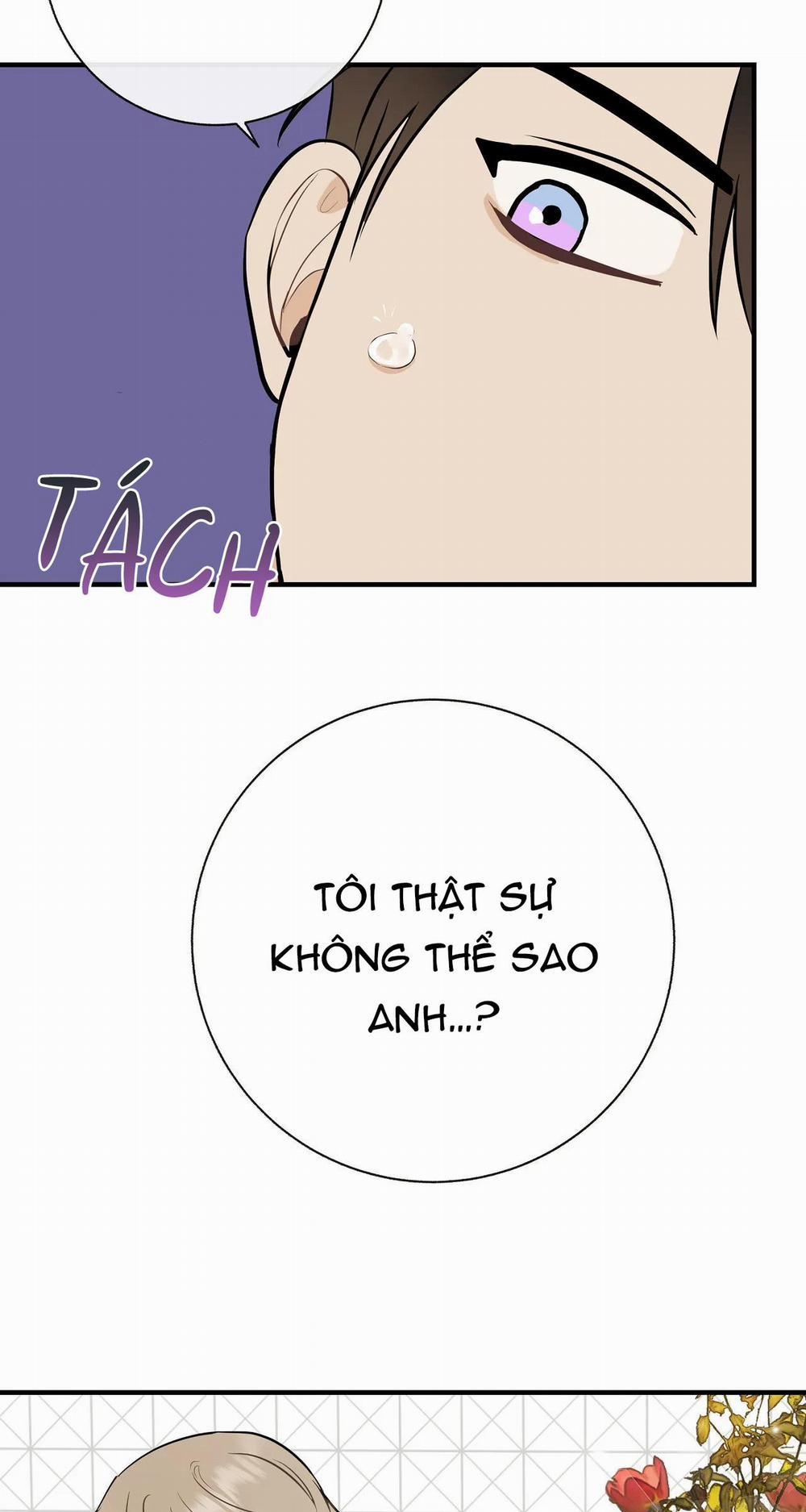 Đứa Bé Là Con Tôi 39 trang 9