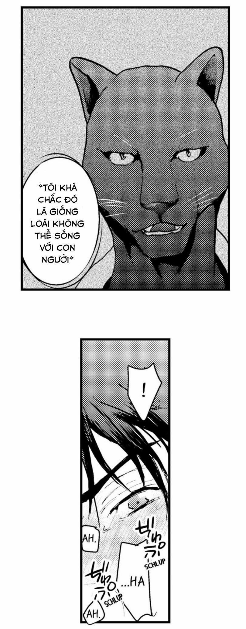 Đứa Con Trai Quái Vật Của Tôi 9.2 trang 12