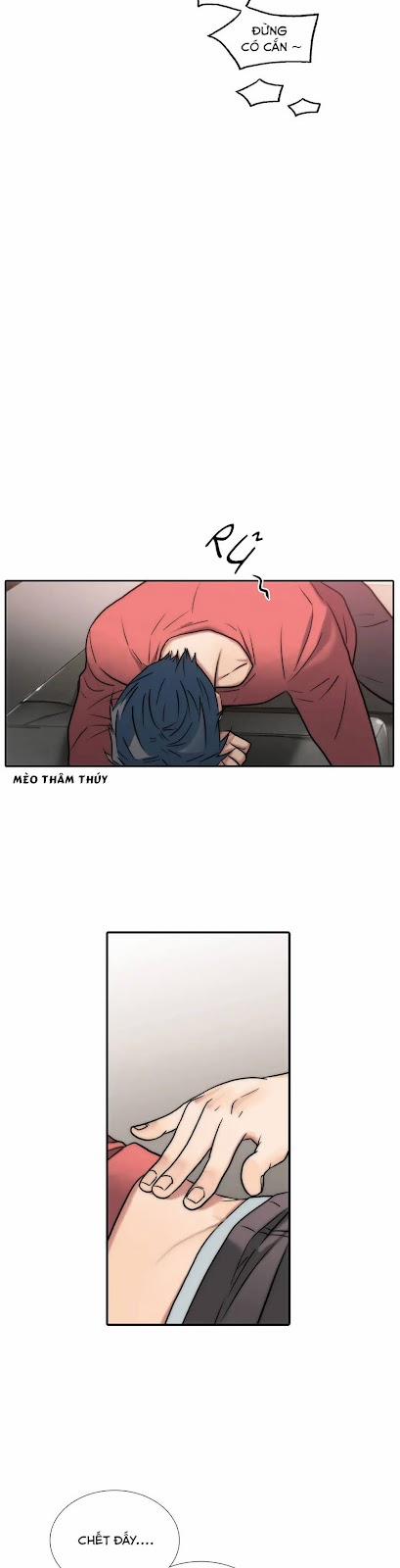 Đưa Đón Người Yêu 80 trang 17