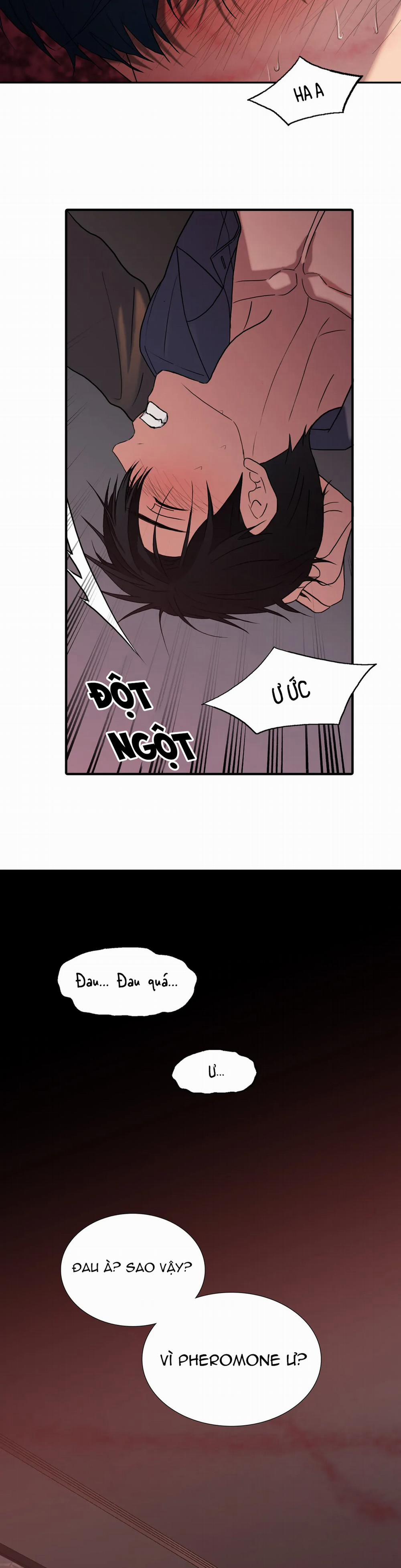 Đưa Đón Người Yêu 95 (19+) trang 5