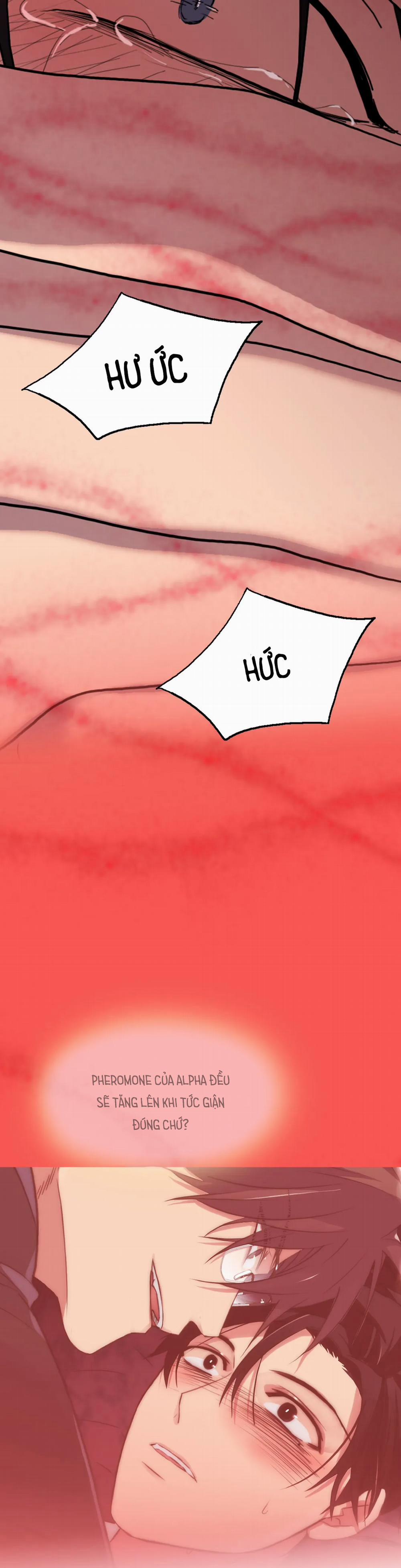 Đưa Đón Người Yêu 95 trang 13