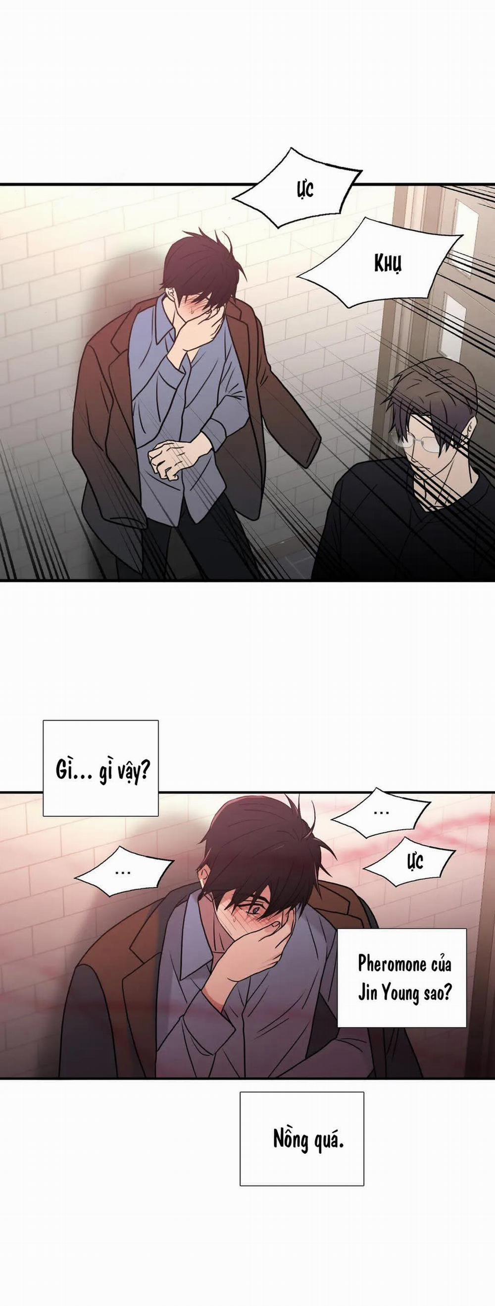 Đưa Đón Người Yêu 96 trang 21