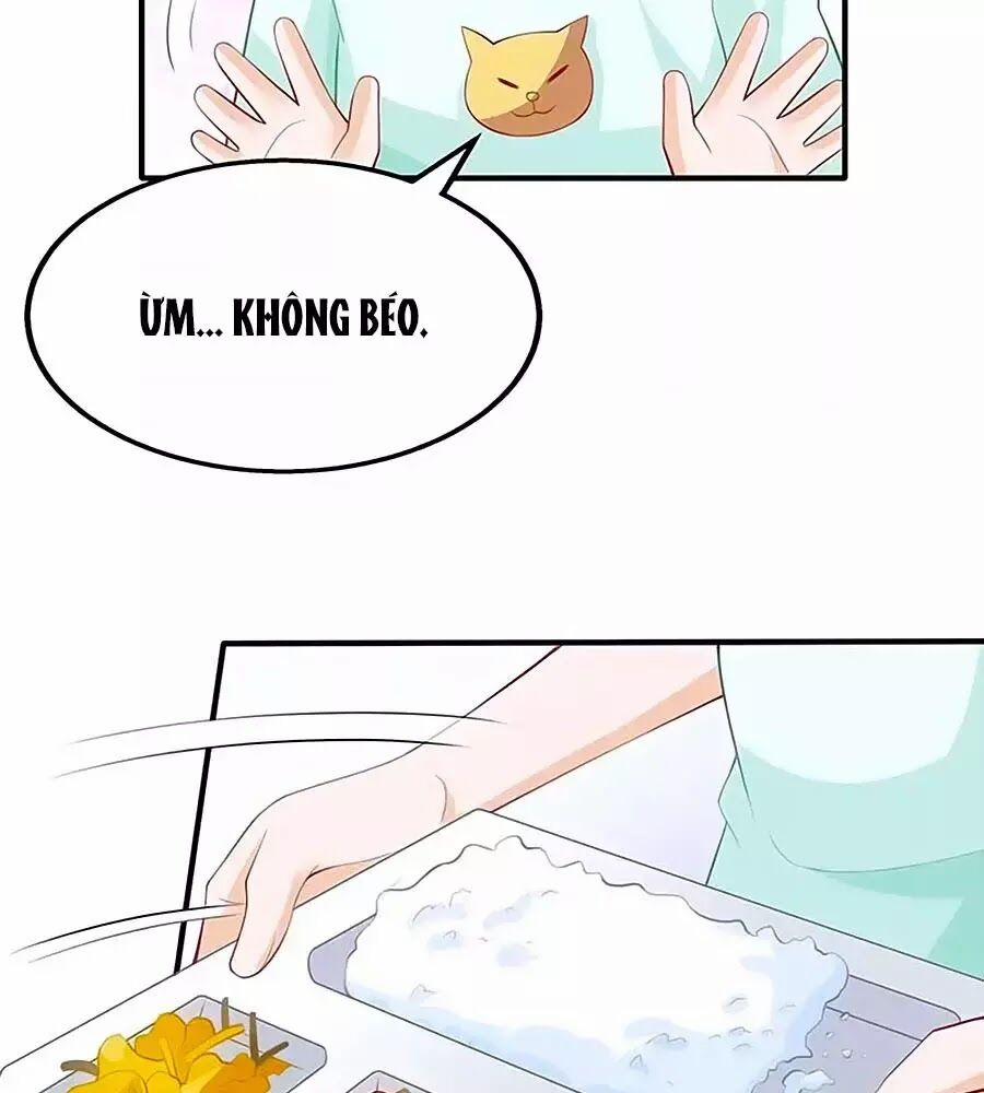 Đưa Mami Về Nhà 141 trang 1